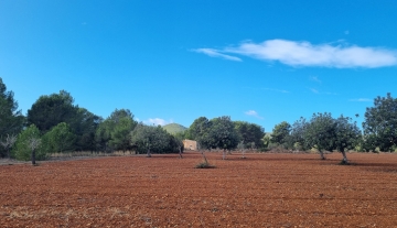 Resa Estates plots santa Gertrudis Ibiza for sale te koop 5 .jpg